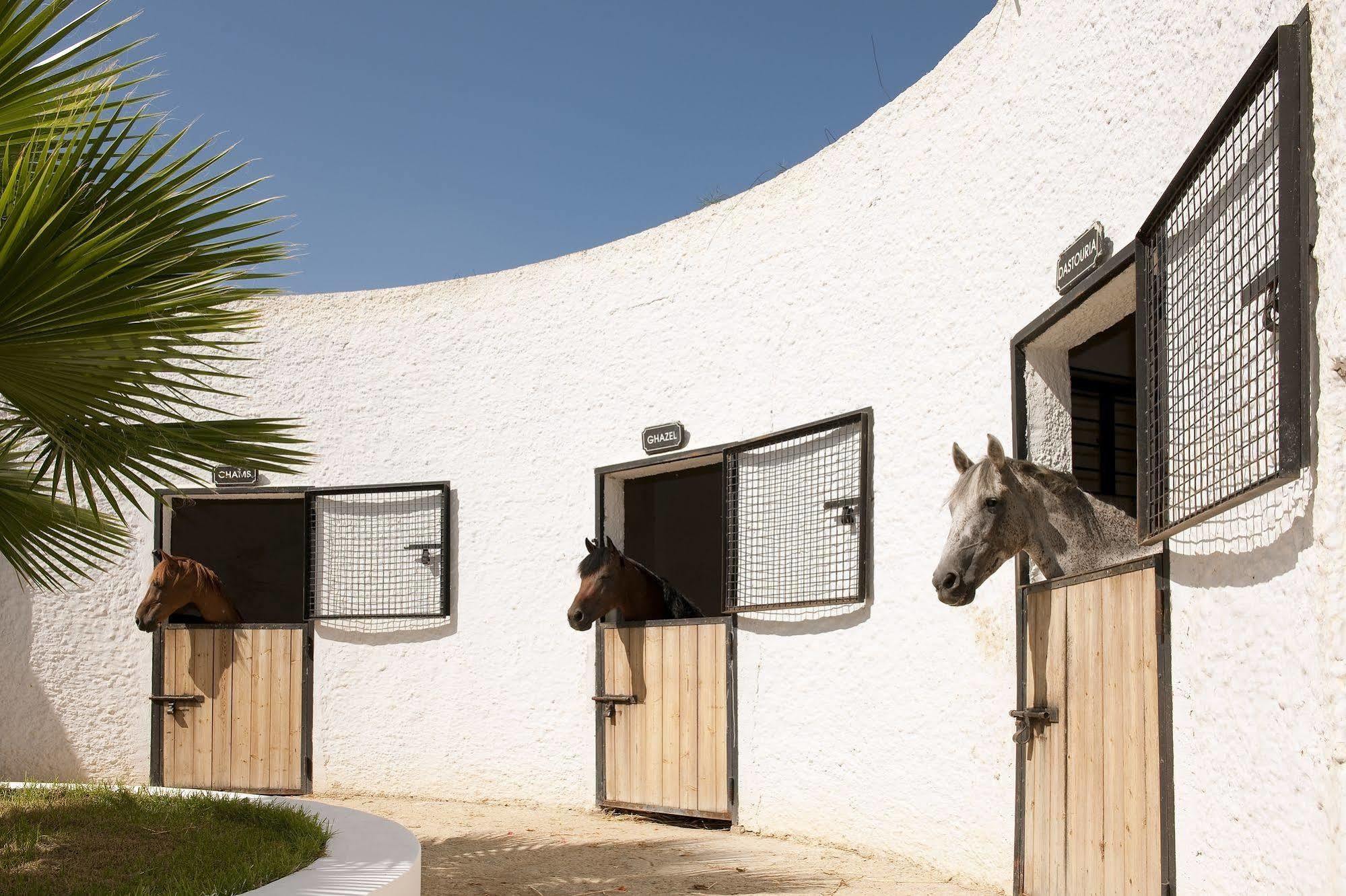 Sentido Phenicia Hotel Hammamet Eksteriør billede